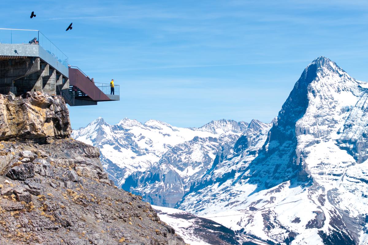 Birg_DJI_20250410144538_0082_D_webalbum_1